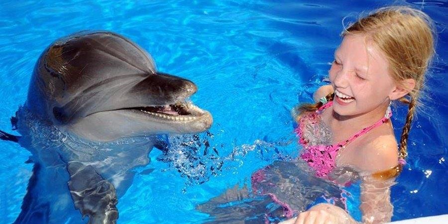 dolphin-show-antalya-03