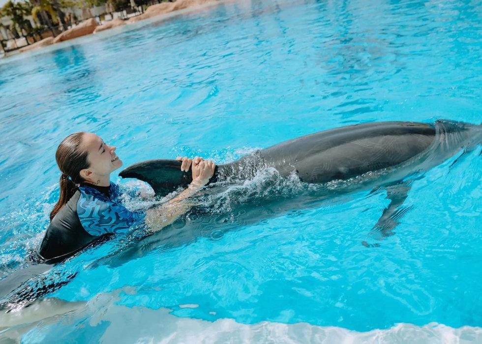 dolphin-show-antalya-04