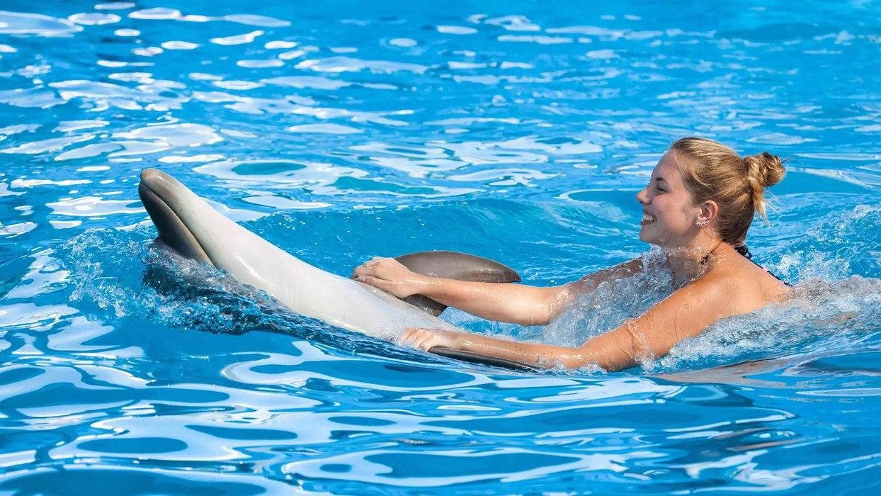 dolphin-show-antalya-08