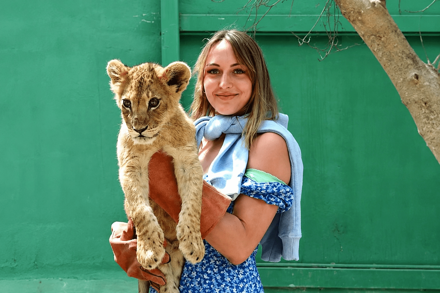 lion-park-5in1-from-side