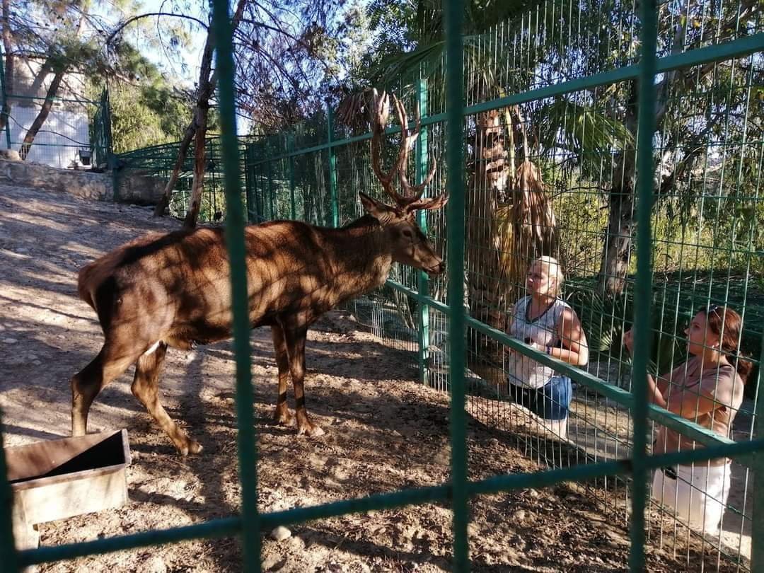 lion-park-green-canyon-from-alanya-22