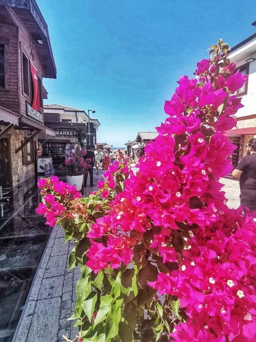 side-antient-city-from-alanya-1